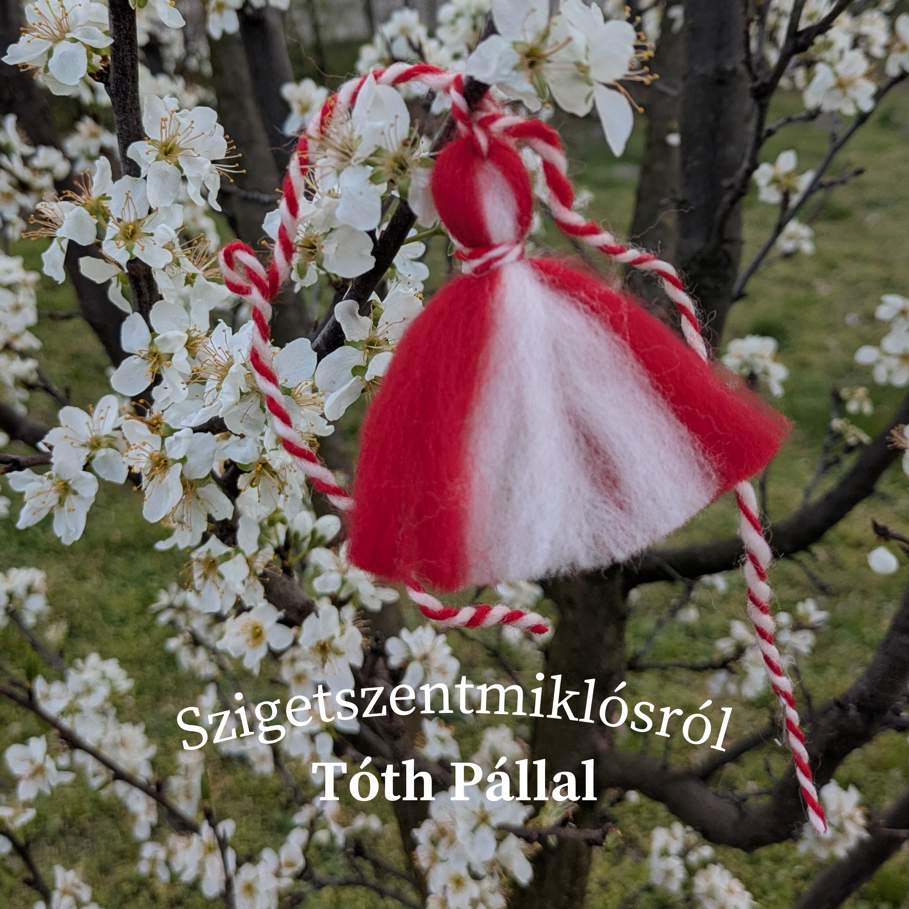 Szigetszentmiklósról Tóth Pállal